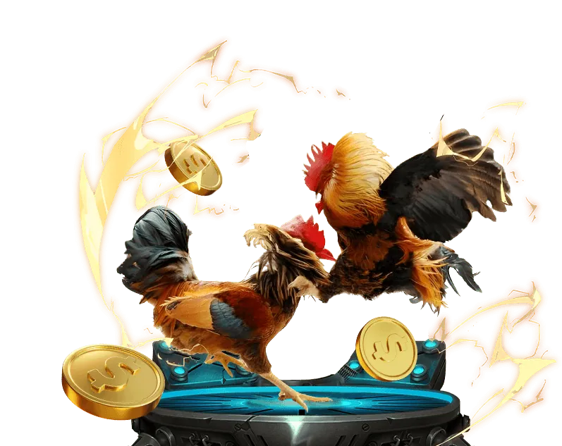 Hướng dẫn đặt cược đá gà tại 39go99 game bài
